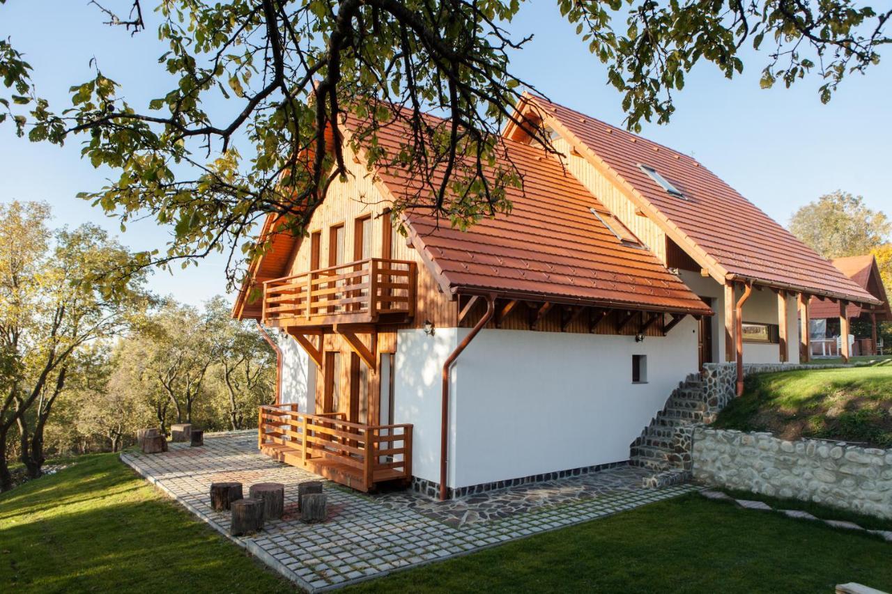 Pensiunea Szilas Panzio Pauleni Exterior photo